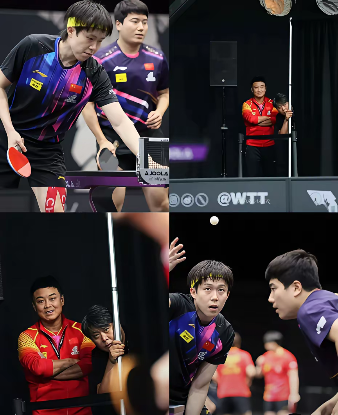 包含法国队完胜奥地利队，梁靖崑带队取胜的词条