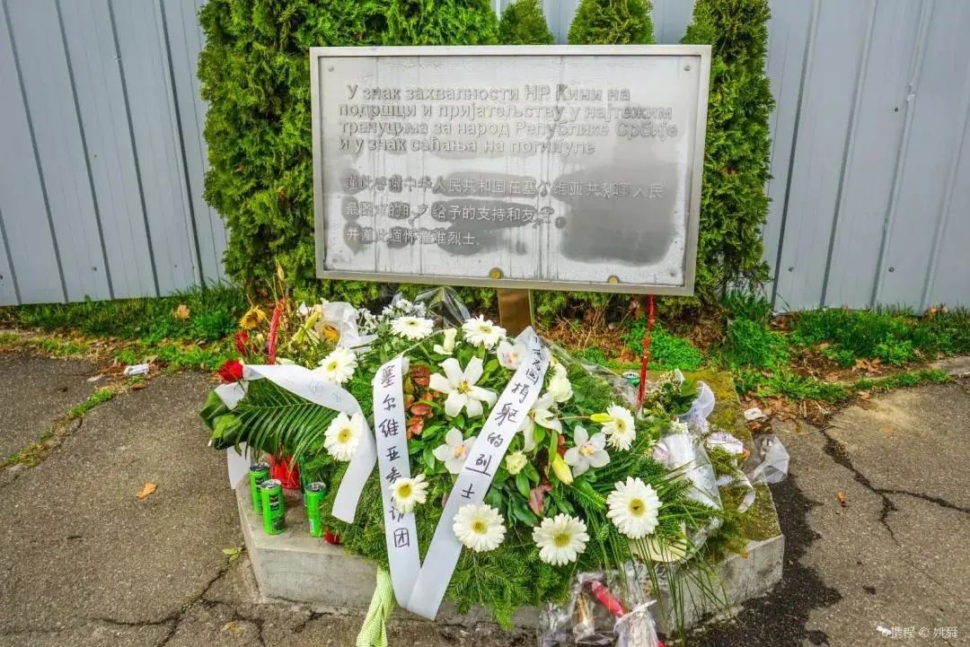 塞尔维亚队再获好成绩，实力备受认可