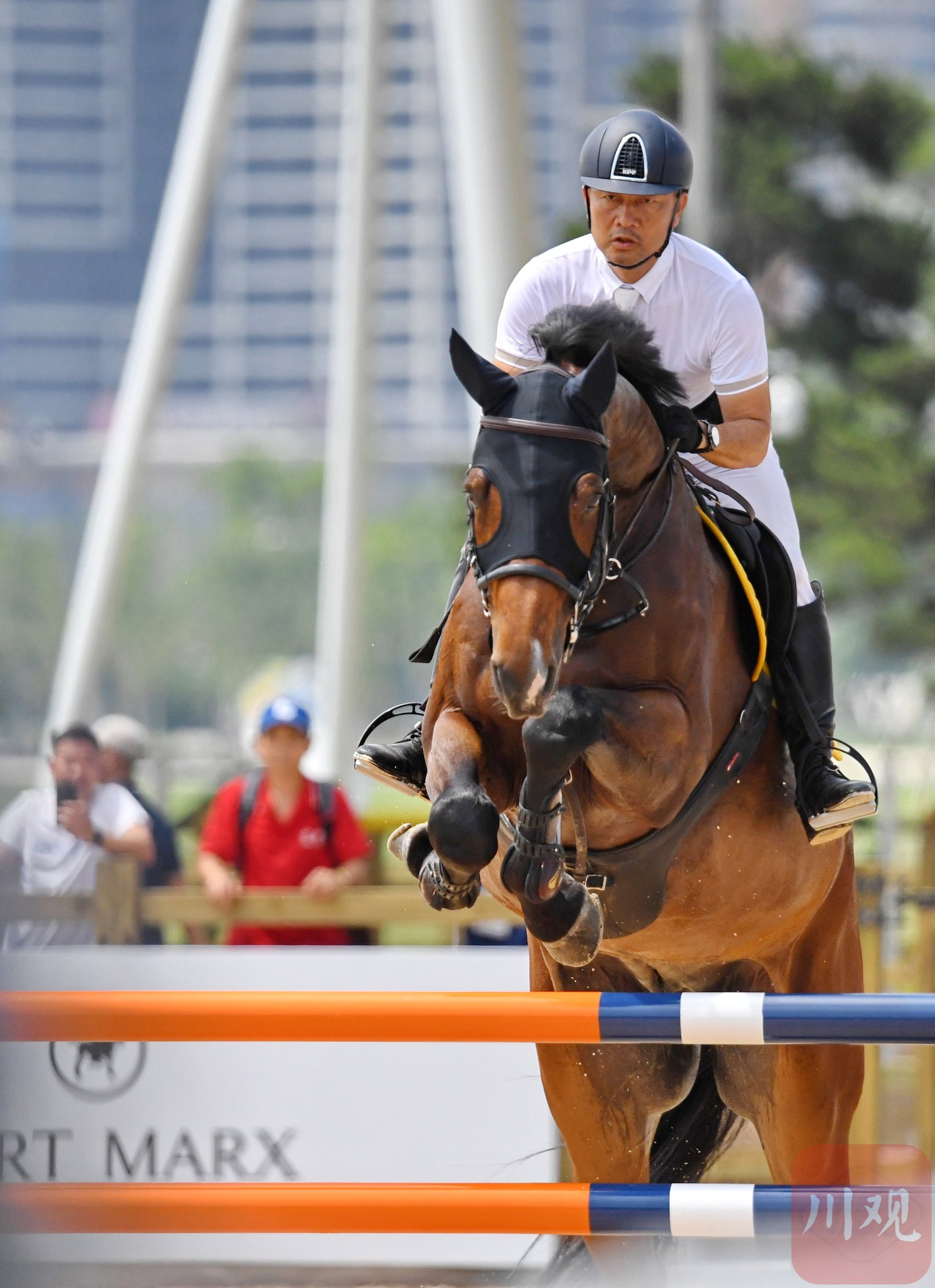 包含马术比赛选手骑术高超，出类拔萃的词条