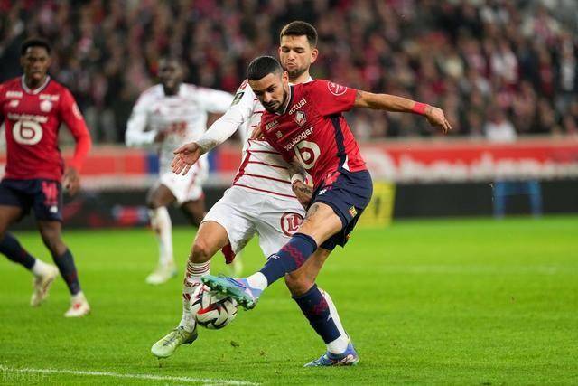 关于里尔主场击败对手,球队士气高涨的信息 关于里尔主场击败对手,球队士气高涨的信息