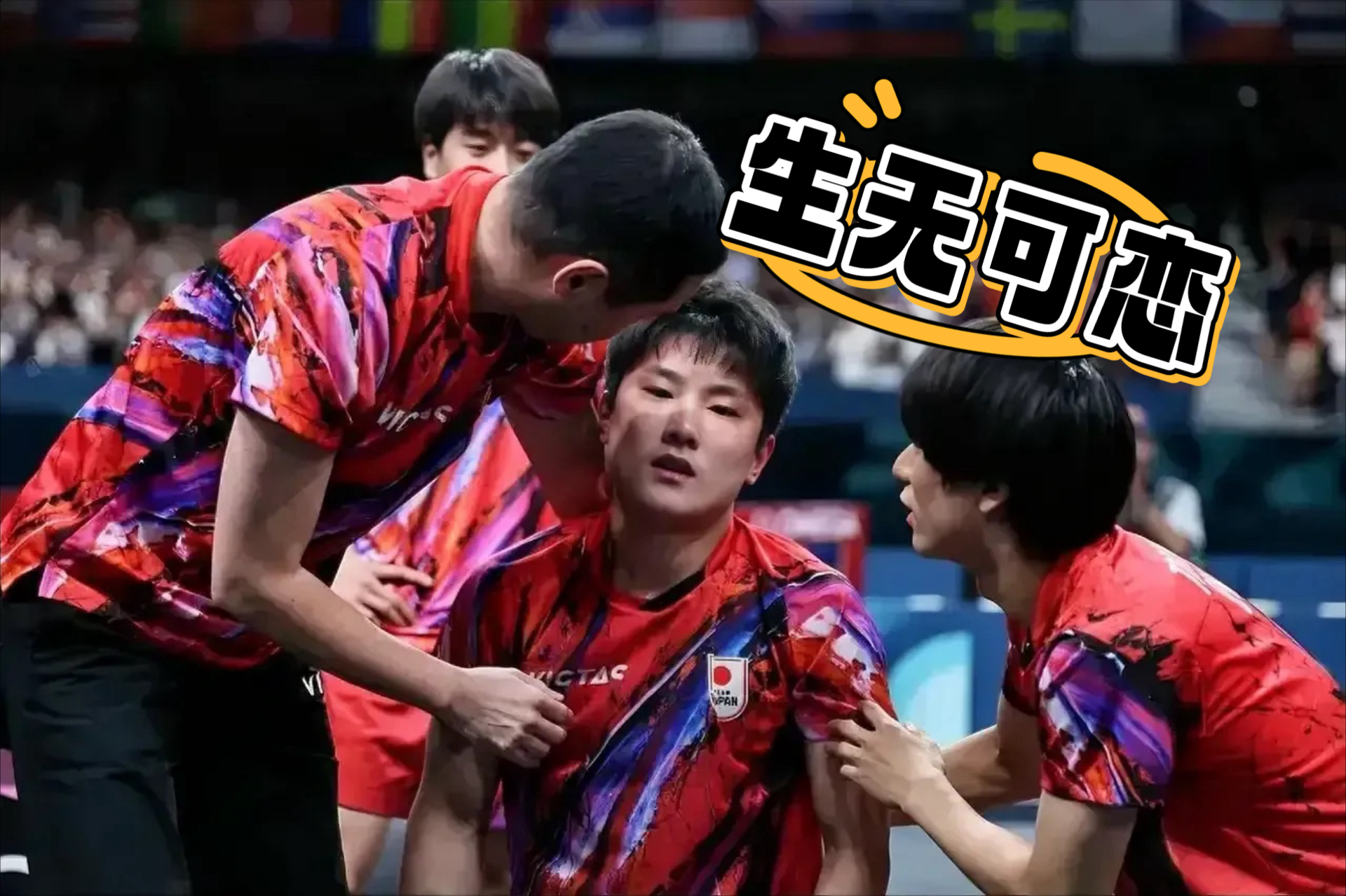 中国乒乓球队绝杀日本乒乓球队,波尔制霸全场的简单介绍 中国乒乓球队绝杀日本乒乓球队,波尔制霸全场的简单介绍