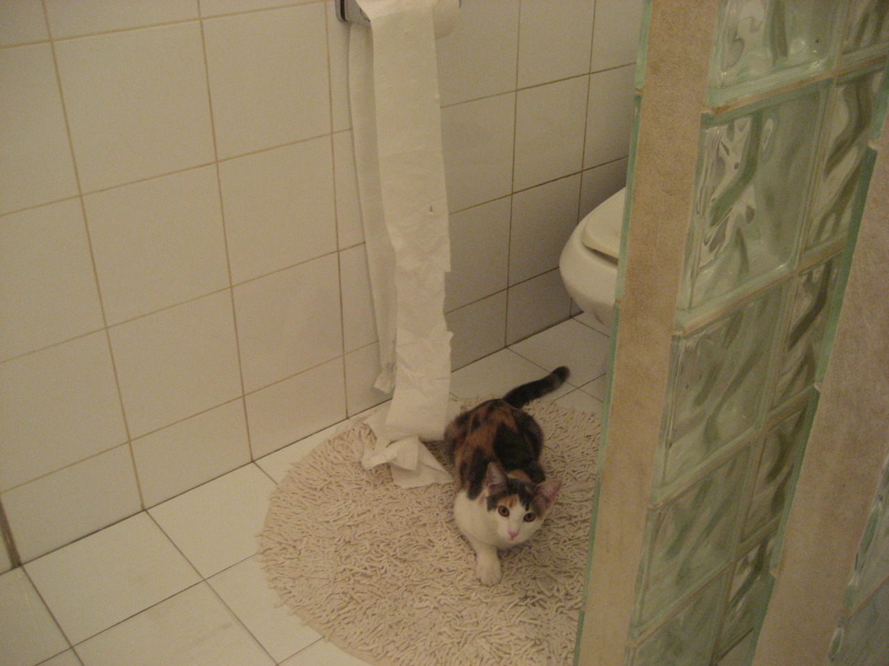 西决生死战之夜,坎特完成里程碑,一场定义职业生涯的传奇之战