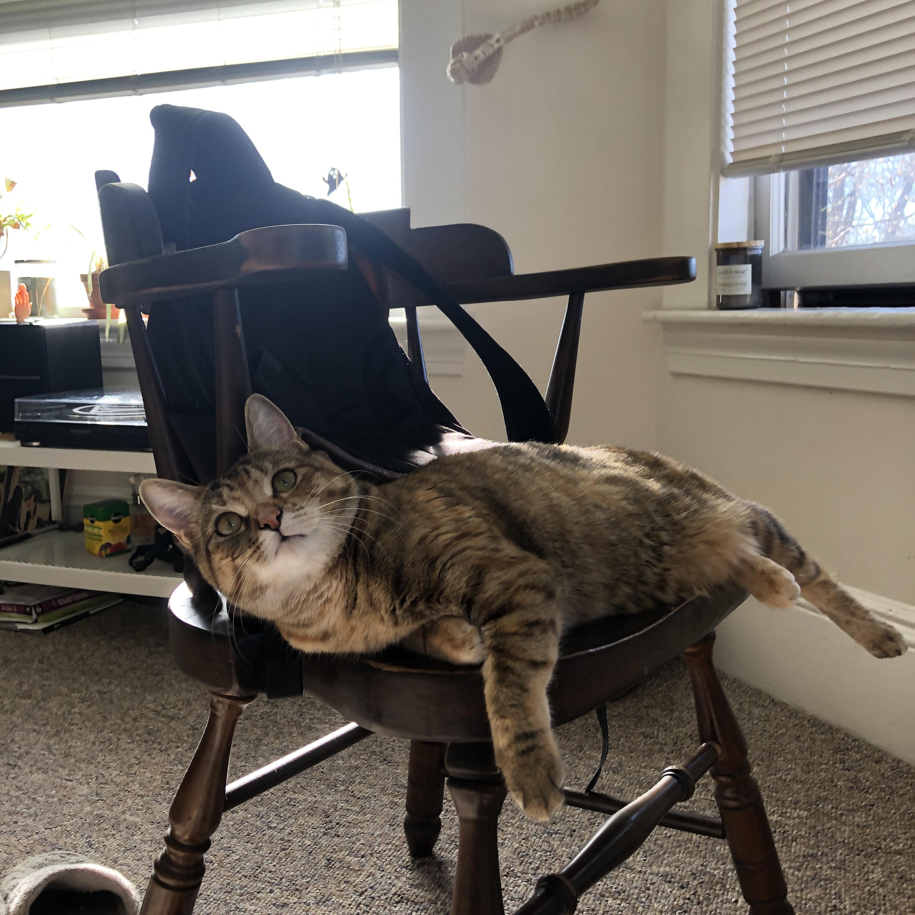 卢卡库一剑封喉,波兰军团狂胜佛罗伦萨的背后逻辑