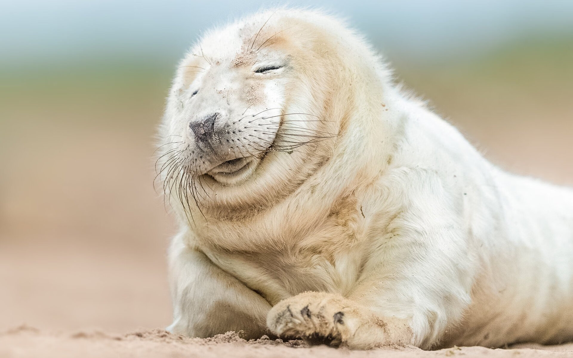 跨洋对决，哈登关键一击，76人险胜广东队